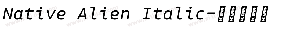 Native Alien Italic字体转换